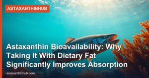 Astaxanthin Bioavailability: Why Taking It With Dietary Fat Significantly Improves Absorption