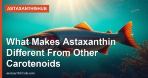 What Makes Astaxanthin Different From Other Carotenoids