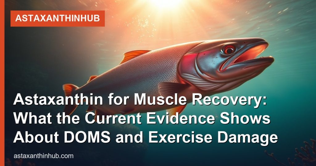 Astaxanthin for Muscle Recovery: What the Current Evidence Shows About DOMS and Exercise Damage - AstaxanthinHub