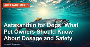 Astaxanthin for Dogs: What Pet Owners Should Know About Dosage and Safety