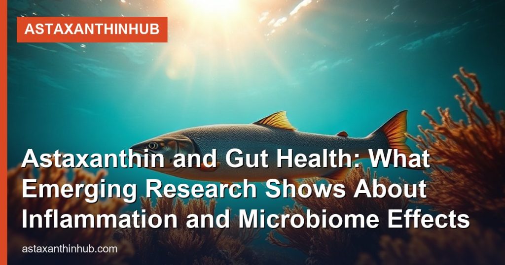 Astaxanthin and Gut Health: What Emerging Research Shows About Inflammation and Microbiome Effects - AstaxanthinHub
